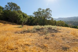 Agriculture,  Quail Ridge drive, Napa, CA 94558 - 34