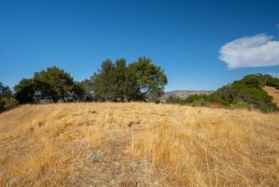 Agriculture,  Quail Ridge drive, Napa, CA 94558 - 42