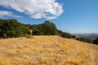 Agriculture,  Quail Ridge drive, Napa, CA 94558 - 38