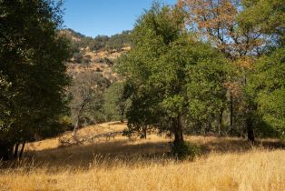 Agriculture,  Quail Ridge drive, Napa, CA 94558 - 28