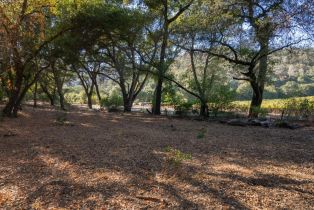 Agriculture,  Quail Ridge drive, Napa, CA 94558 - 56