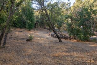 Agriculture,  Quail Ridge drive, Napa, CA 94558 - 59