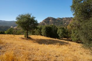 Agriculture,  Quail Ridge drive, Napa, CA 94558 - 35