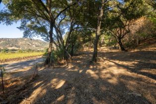 Agriculture,  Quail Ridge drive, Napa, CA 94558 - 51