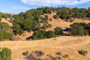 Agriculture,  Quail Ridge drive, Napa, CA 94558 - 24