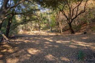 Agriculture,  Quail Ridge drive, Napa, CA 94558 - 52