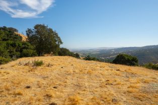 Agriculture,  Quail Ridge drive, Napa, CA 94558 - 37