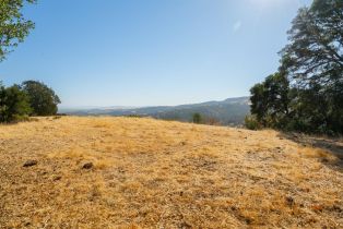 Agriculture,  Quail Ridge drive, Napa, CA 94558 - 45