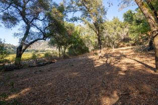 Agriculture,  Quail Ridge drive, Napa, CA 94558 - 55