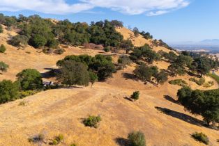 Agriculture,  Quail Ridge drive, Napa, CA 94558 - 25