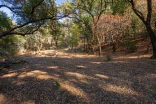 Agriculture,  Quail Ridge drive, Napa, CA 94558 - 53