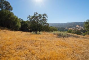 Agriculture,  Quail Ridge drive, Napa, CA 94558 - 33