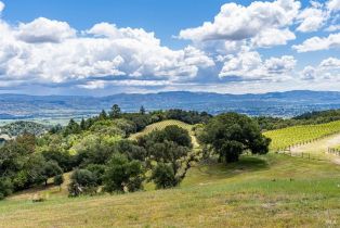 Residential Acreage,  Dry Creek road, Napa, CA 94558 - 22