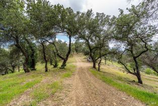 Residential Acreage,  Dry Creek road, Napa, CA 94558 - 14