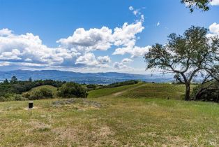 Residential Acreage,  Dry Creek road, Napa, CA 94558 - 3