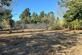 Residential Acreage,  Old Gravenstein highway, Sebastopol, CA 95472 - 20