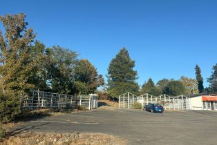 Residential Acreage,  Old Gravenstein highway, Sebastopol, CA 95472 - 5