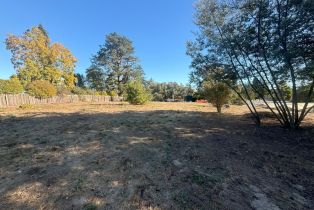 Residential Acreage,  Old Gravenstein highway, Sebastopol, CA 95472 - 21