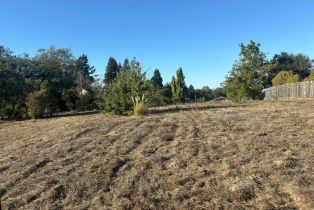 Residential Acreage,  Old Gravenstein highway, Sebastopol, CA 95472 - 50