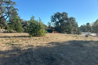 Residential Acreage,  Old Gravenstein highway, Sebastopol, CA 95472 - 46