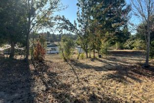 Residential Acreage,  Old Gravenstein highway, Sebastopol, CA 95472 - 48