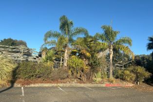 Residential Acreage,  Old Gravenstein highway, Sebastopol, CA 95472 - 39