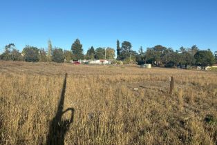 Residential Acreage,  Old Gravenstein highway, Sebastopol, CA 95472 - 52