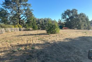 Residential Acreage,  Old Gravenstein highway, Sebastopol, CA 95472 - 19