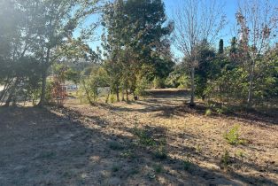 Residential Acreage,  Old Gravenstein highway, Sebastopol, CA 95472 - 47