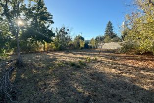 Residential Acreage,  Old Gravenstein highway, Sebastopol, CA 95472 - 53