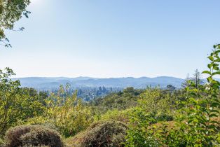 Single Family Residence,  Fitch Mountain road, Healdsburg, CA 95448 - 45