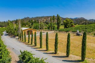 Agriculture,  Franz Valley road, Calistoga, CA 94515 - 13