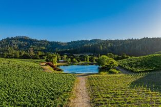 Agriculture,  Franz Valley road, Calistoga, CA 94515 - 27