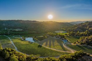 Agriculture,  Franz Valley road, Calistoga, CA 94515 - 31