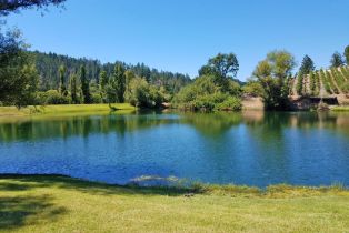 Agriculture,  Franz Valley road, Calistoga, CA 94515 - 5