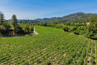 Agriculture,  Franz Valley road, Calistoga, CA 94515 - 9