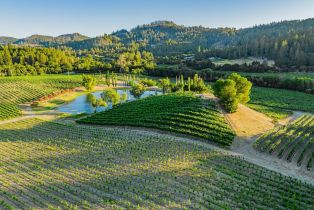 Agriculture,  Franz Valley road, Calistoga, CA 94515 - 2