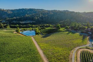 Agriculture,  Franz Valley road, Calistoga, CA 94515 - 28