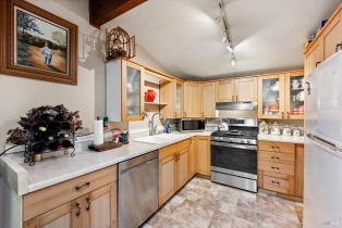 Single Family Residence,  Ogburn lane, Russian River, CA 95436 - 5