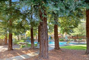 Single Family Residence,  Temelec circle, Sonoma, CA 95476 - 29