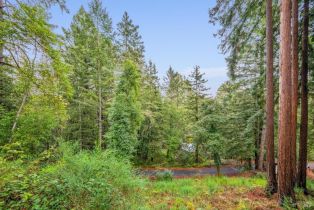 Single Family Residence,  Summit avenue, Russian River, CA 95446 - 35