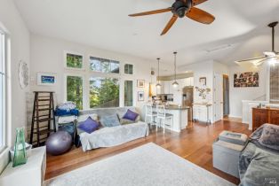 Single Family Residence,  Summit avenue, Russian River, CA 95446 - 6