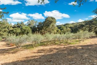 Single Family Residence,  Monticello road, Napa, CA 94558 - 57