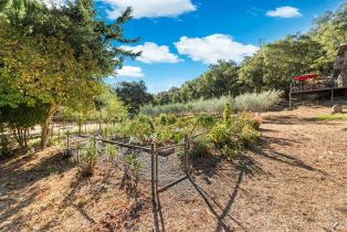 Single Family Residence,  Monticello road, Napa, CA 94558 - 59