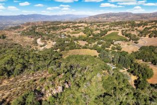 Single Family Residence,  Monticello road, Napa, CA 94558 - 68