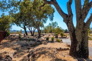 Residential Lot,  Heights road, Santa Rosa, CA 95404 - 15