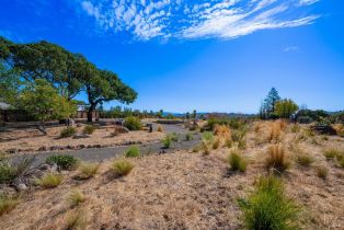 Residential Lot,  Heights road, Santa Rosa, CA 95404 - 12