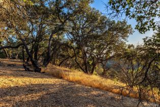 Single Family Residence,  Singing Hills trail, Santa Rosa, CA 95404 - 75