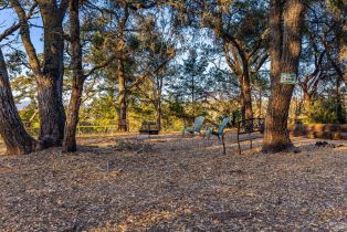 Single Family Residence,  Singing Hills trail, Santa Rosa, CA 95404 - 79