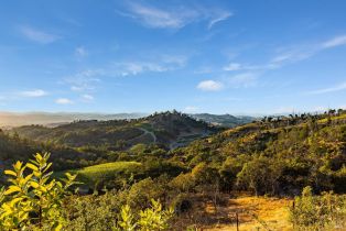 Single Family Residence,  Singing Hills trail, Santa Rosa, CA 95404 - 80